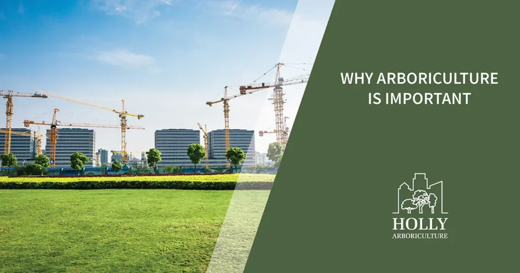 why arboriculture is important
