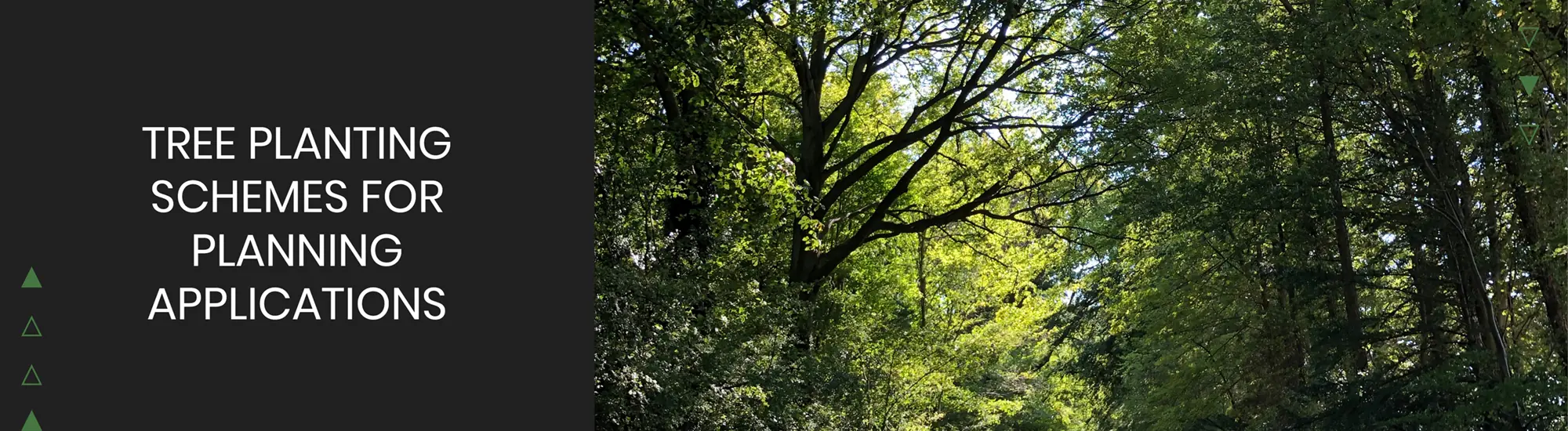 Tree Planting Schemes for Planning Applications HOLLY ARBORICULTURE