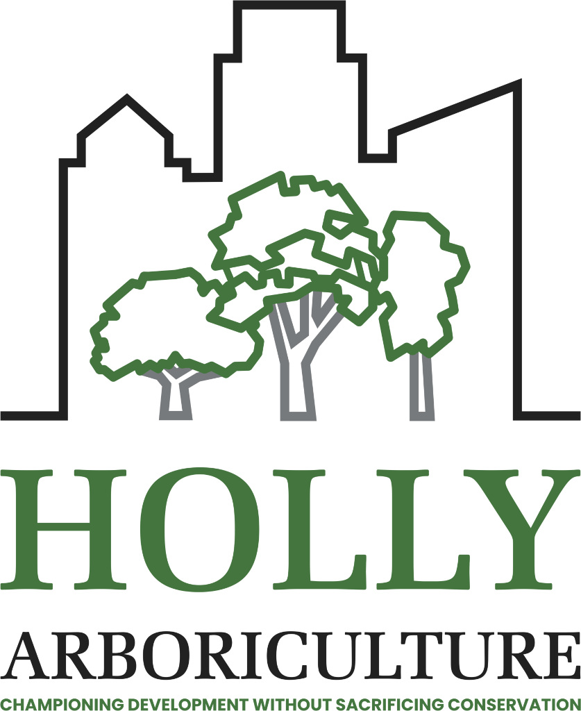 HOLLY ARBORICULTURE