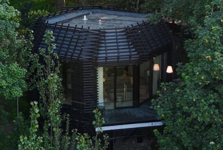Hotel with Woodland in the middle of the city 2 Hotel Tree Risk Management e1731498264693