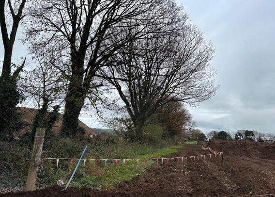 Tree protection on site