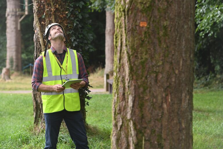 Arboricultural consultant inspecting a mature tree as part of a tree risk management strategy to assess condition, safety, and potential hazards.