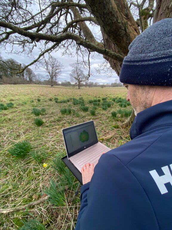 What Is Tree Decay and How Can You Spot It Before It’s Too Late? 13 Data from the tomograph displayed on a laptop screen, showing a visual representation of the tree’s internal structure and potential decay.