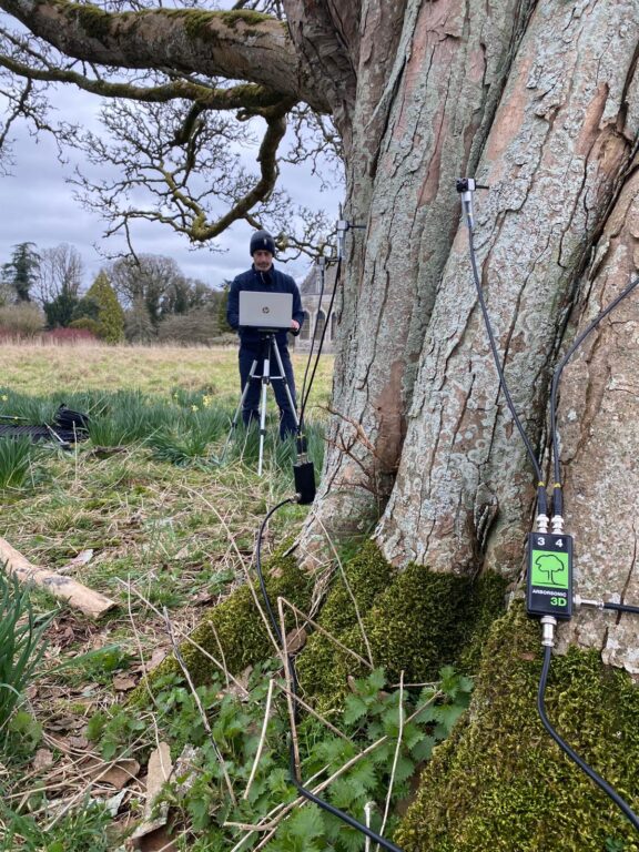 Paul Holly using the Arborsonic 3D Acoustic Tomograph to assess internal tree decay during a site inspection.