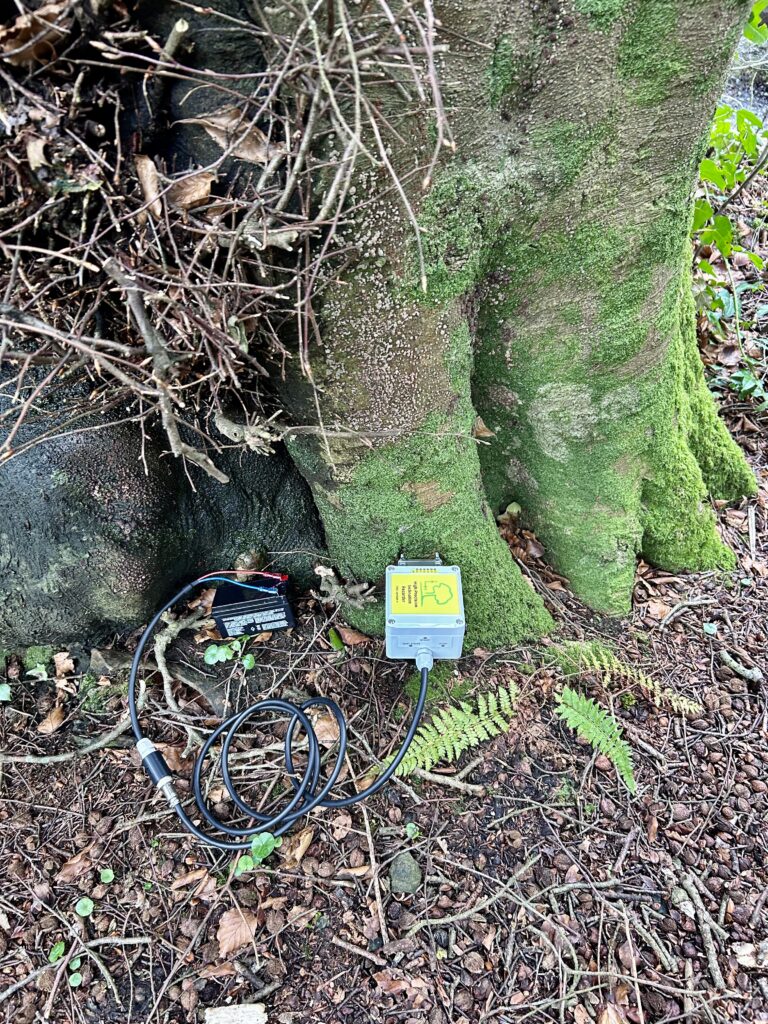 Close-up of an inclinometer attached to the tree trunk, measuring slight movements to evaluate structural stability.