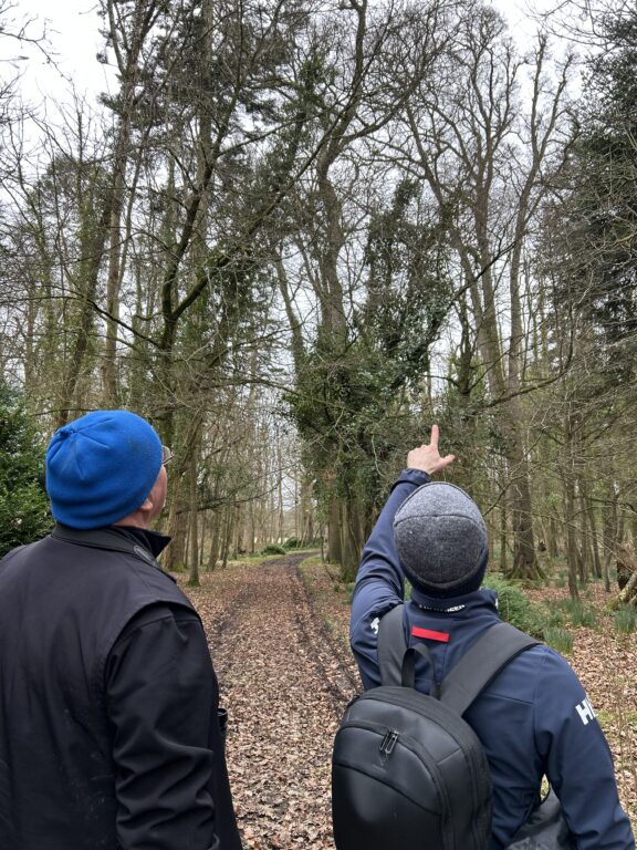 Arborist and Bob from Irishtrees.ie walkthrough on estate after storm – assessing trees for safety and future risk