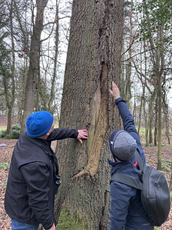 Arborist and client walkthrough on estate after storm – assessing trees for safety and future risk