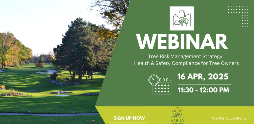 Tree risk management health safety