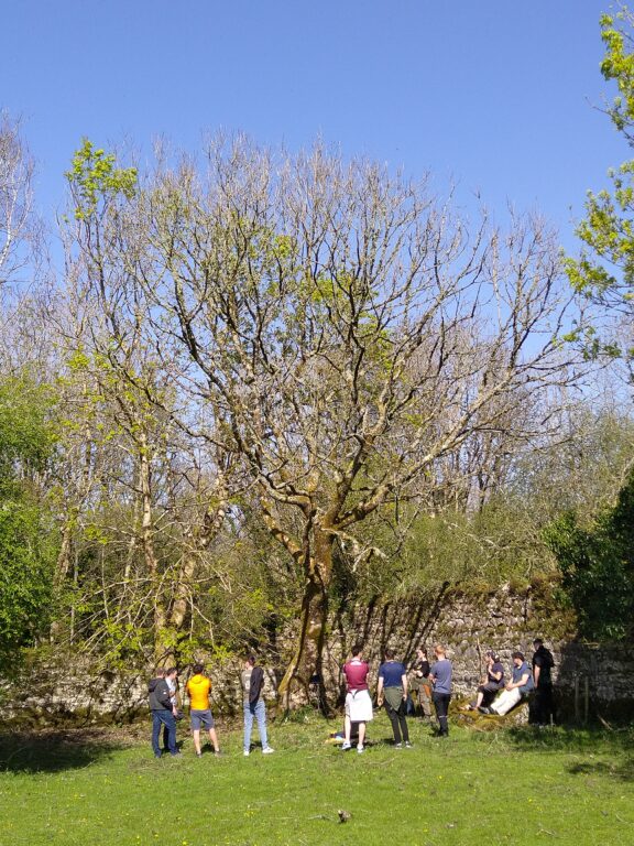 Arboriculture consultant demonstrating the Arborsonic 3D Acoustic Tomograph and DynaRoot system to GRETB students during tree risk assessment training