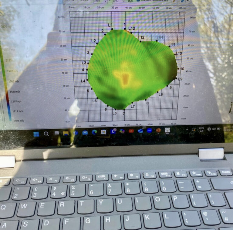 3D tomograph scan displayed on a laptop screen during the Arborist Apprenticeship in Ireland outdoor training session.