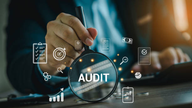 Why a Tree Risk Management Strategy Could Save Your Site Thousands—And Keep Everyone Safe 4 Image representing an audit process, emphasising the role of internal and external audits in maintaining and reviewing a Tree Risk Management Strategy to ensure accountability and ongoing compliance.