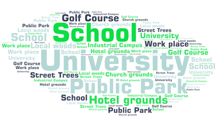 Why a Tree Risk Management Strategy Could Save Your Site Thousands—And Keep Everyone Safe 2 Word cloud showing different clients who benefit from a Tree Risk Management Strategy, including golf courses, hotels, public parks, schools, local authorities, estates, playgrounds, and private landowners.