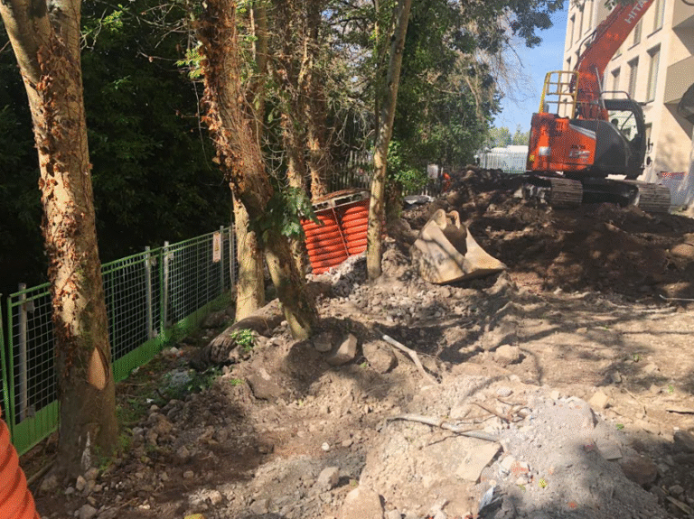 Damaged tree roots and compacted soil caused by construction activity, showing the risks of not appointing a Project Arborist early.